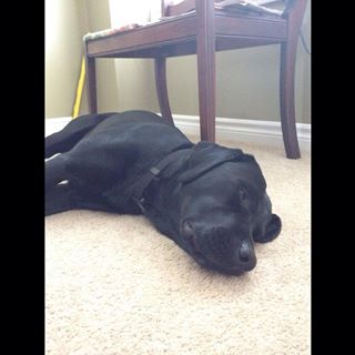 Profile Picture of Derek Dumond (@derek.dumond.9) on Facebook