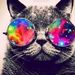 Profile Picture of Jennifer Peardon (@jennpeardon) on Pinterest