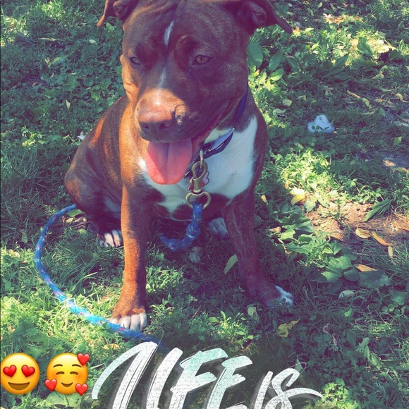 Profile Picture of Jose Suarez (@suarez255) on Poshmark