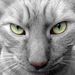 Profile Picture of Matthew Killam (@matthewkillam7) on Pinterest