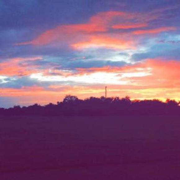 Profile Picture of Moon Moon (@moon1825) on Poshmark