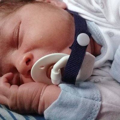 Profile Picture of Rocio Hoyos (@Rociohoyos17) on Twitter