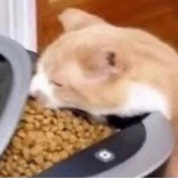 Profile Picture of Jesse (@jessebaldwin66) on Tiktok