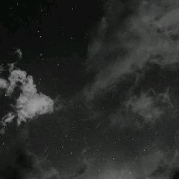 Profile Picture of ppp (@nicholasjuliano96) on Tiktok