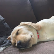 Profile Picture of Jason Silveira (@Jaywisk9) on Youtube