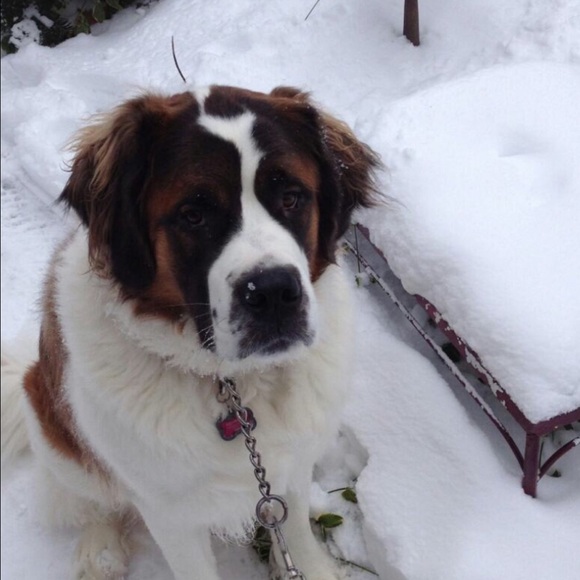 Profile Picture of Kaleigh Malson (@kaleighanna0221) on Poshmark