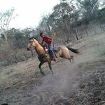 Profile Picture of Alexander lemos (@alexander_lemos24) on Instagram