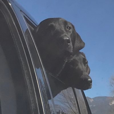 Profile Picture of Kelli Terry (@KelliTerry15) on Twitter