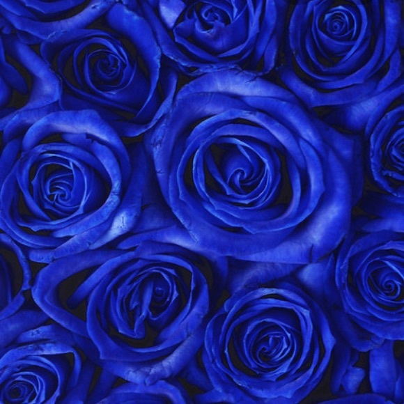 Profile Picture of Melany Gomez (@melanygomez13) on Poshmark