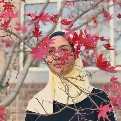 Profile Picture of ℍ𝕚𝕓𝕒  🦆 (@NidaaAbukhalaf) on Twitter