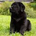 Profile Picture of Johnbarath Barath (@Johnbarath-Barath) on Facebook