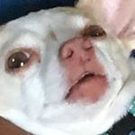 Profile Picture of Paul Cyr (@nerd0army) on Instagram