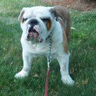 Profile Picture of Gerry Cummings (@gerry.cummings3) on Instagram