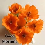 Profile Picture of Keith Metse (@Keith-Metse) on Facebook