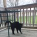 Profile Picture of JoAnn Redinger (@joann.redinger.9) on Facebook
