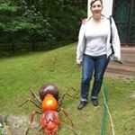 Profile Picture of Elżbieta Karmiłowicz (@karmilowicz) on Instagram