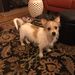 Profile Picture of Nancy Charron (@charron9485) on Pinterest