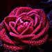 Profile Picture of Debbie Harrell Grant (@debbieharrellgr) on Pinterest