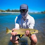 Profile Picture of Terry Grayson (@terrygrayson) on Instagram