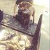 Profile Picture of Buddy Mathis (@buddy.mathis) on Facebook