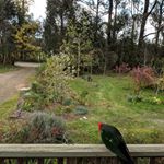 Profile Picture of Phoebe Murray (@phoebe.murray.79) on Instagram