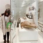 Profile Picture of Minako Aoki (@minako.aoki.940) on Facebook