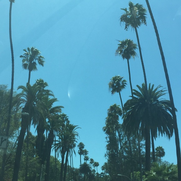 Profile Picture of Sarah Lamotta (@kklamotta) on Poshmark