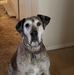 Profile Picture of John Warsing (@john.warsing.5) on Facebook