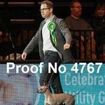 Profile Picture of Tony Bolland (@bollandtony) on Instagram