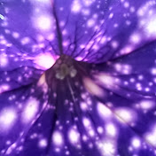 Profile Picture of Eric Tilson (@erictilson3625) on Youtube