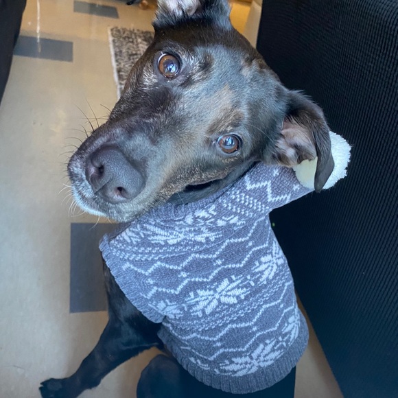 Profile Picture of Amanda Smolenski (@amandasmolenski) on Poshmark