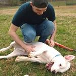 Profile Picture of Ian Pleasants (@pleasantsian) on Instagram