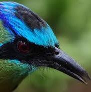 Profile Picture of Robert Wenting (@Robert-Wenting) on Facebook