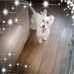 Profile Picture of Diane Brissette (@diane.brissette.1804) on Facebook