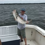 Profile Picture of Ray Clark (@rgclark68) on Instagram