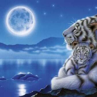 Profile Picture of Janet Gonzalez Escobedo (@JanetGonzalezE2) on Twitter