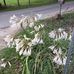 Profile Picture of Sharon Riddle (@sharon.riddle.5477) on Facebook