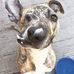 Profile Picture of Steve Grano (@Steve-Grano) on Facebook