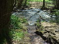Profile Picture of Braubach (Liederbach)on Wikipedia
