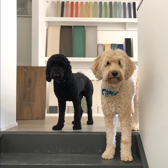 Shelly Janczak - Poshmark Profile Picture of Shelly Janczak (@shellyjanczak) on Poshmark