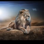 Profile Picture of Monte Hagen (@monte.hagen.1) on Facebook