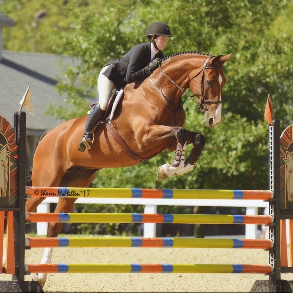 Profile Picture of Madigan Eppink (@gooderthangold) on Poshmark