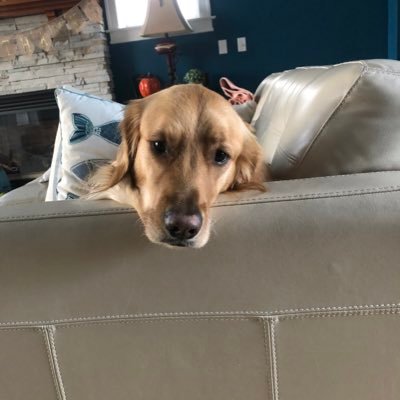 Profile Picture of Jeremy Burton (@jeremyburton23) on Twitter