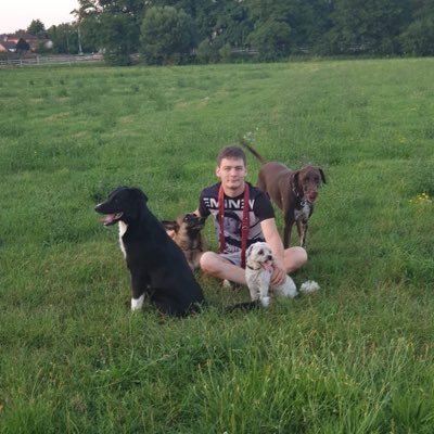 Profile Picture of Steven Peltier (@steven_peltier) on Twitter