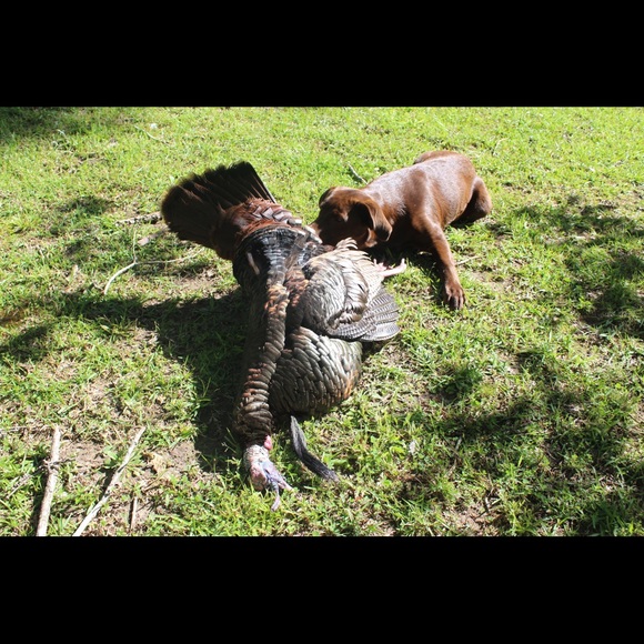 Profile Picture of Preston Vaughn (@prestongvaughn) on Poshmark