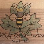 Profile Picture of Scott Thorn (@scott_thorn_bees_trees) on Instagram