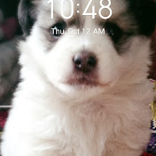 Profile Picture of DEEPA Gurung (@warriorgirls6536) on Youtube