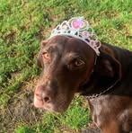 Profile Picture of Beth Walker (@Beth-Walker) on Facebook