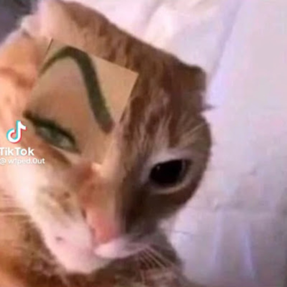 Profile Picture of Clay Shields (@tvgirlforever) on Poshmark