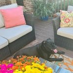 Rex Kennedy - Instagram Profile Picture of Rex Kennedy (@rexkennedy81) on Instagram